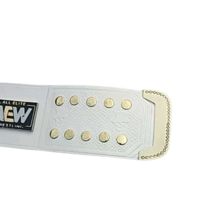 AEW TNT Wrestling Championship Heavyweight Adult Belt