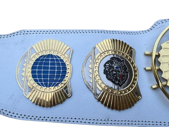 Cody Rhodes American Nightmare World Wrestling Championship Belt