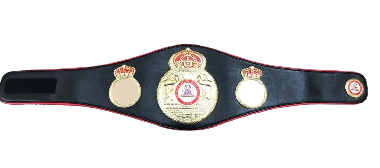 WBA World Boxing Association Title Replica Belt Adult Full Size 3D Premium Quality