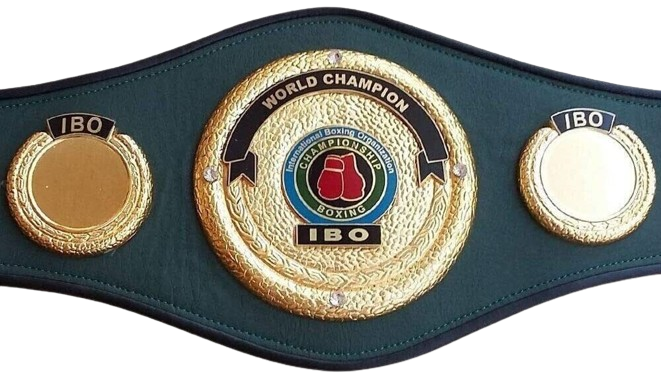 WWF IBO Championship Boxing Belt Adult Replica Size 3D